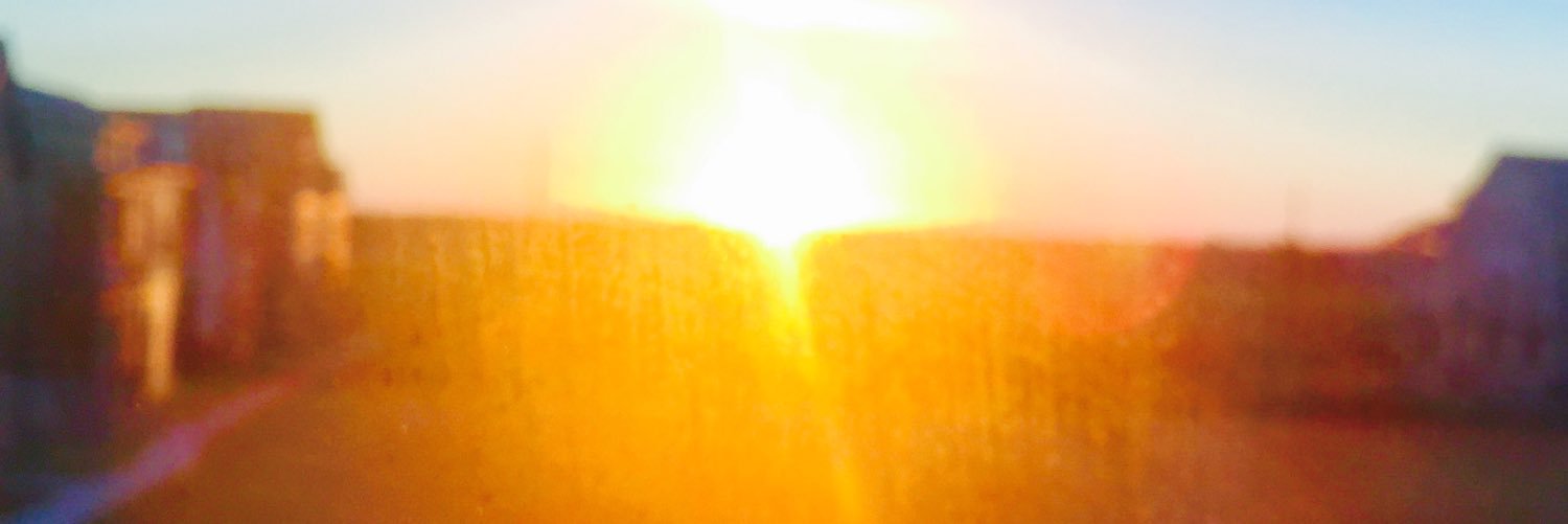 lifeoflace's profile banner image