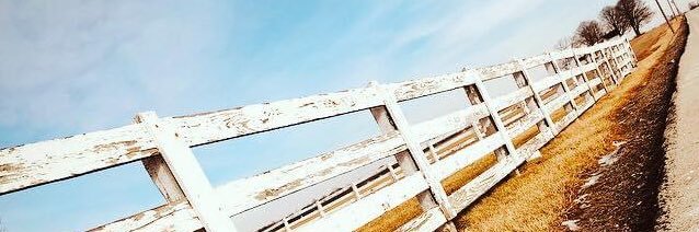 Nikki Privett banner