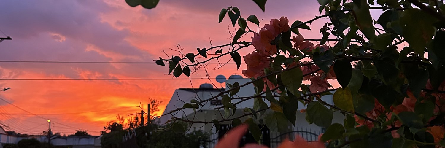 calaodaniel's profile banner image
