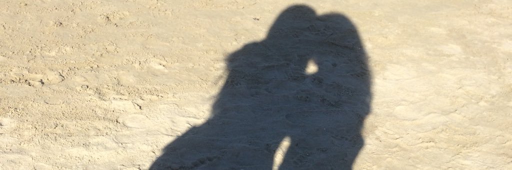 Elisaandreucci2's profile banner image