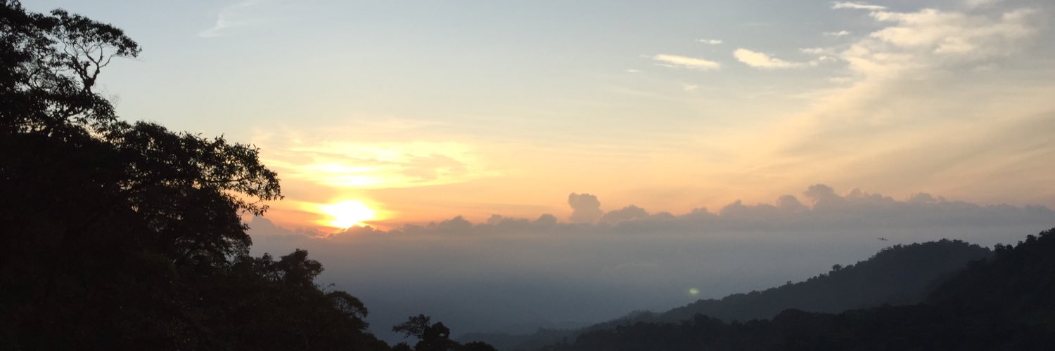 robgrefa's profile banner image