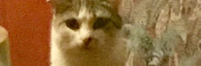 LARZIK's profile banner image