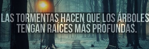 danielbarrios6's profile banner image