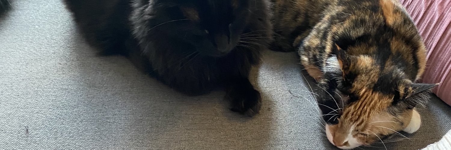 Kimberly Fowler banner