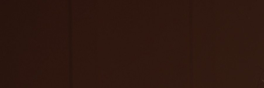 Ari Ray banner