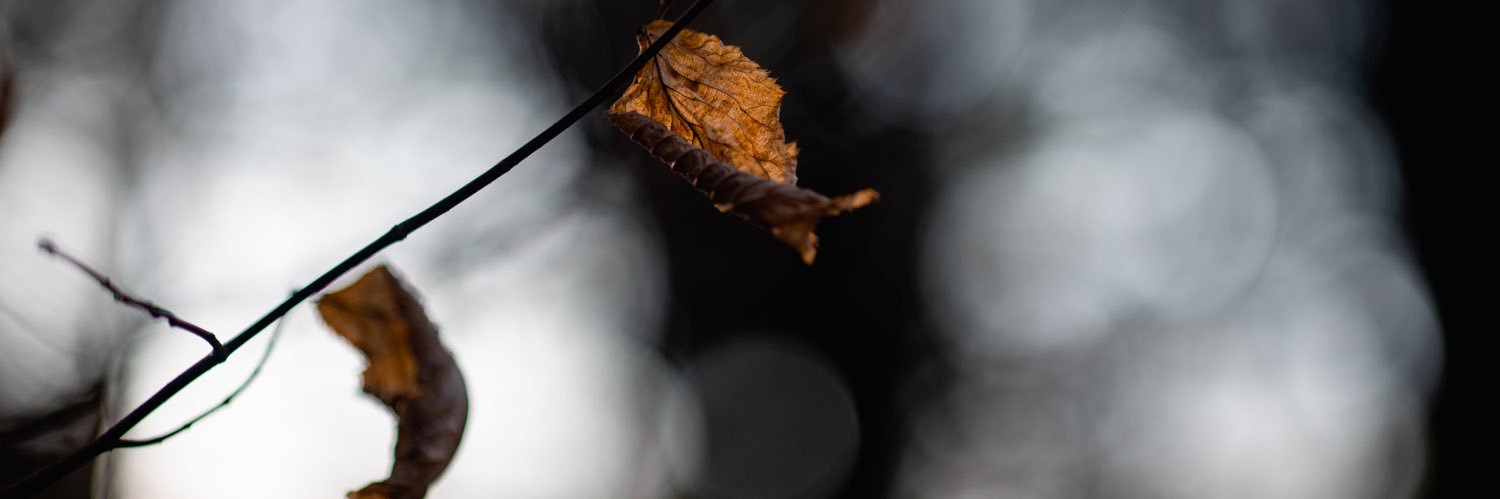 thebmasur's profile banner image