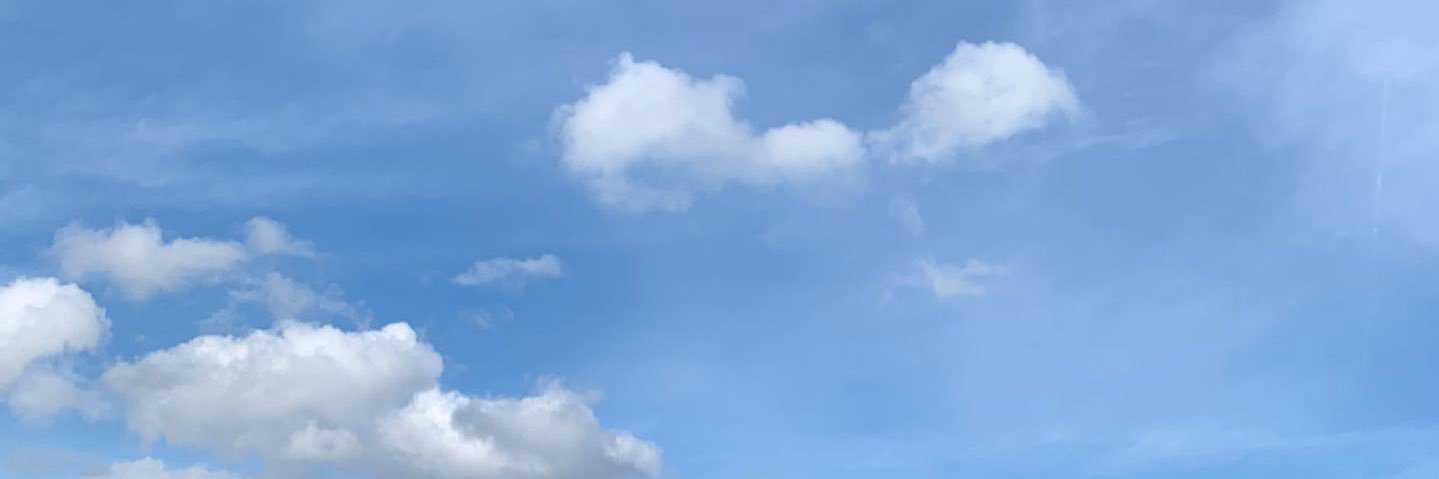 p3marques's profile banner image