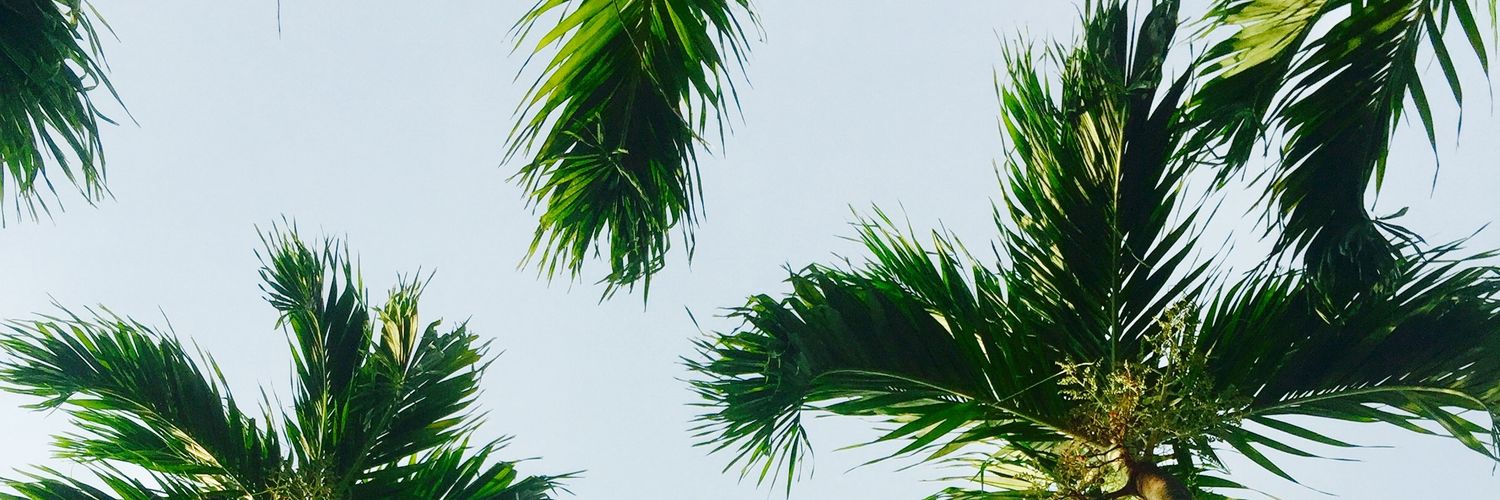 flureenz's profile banner image