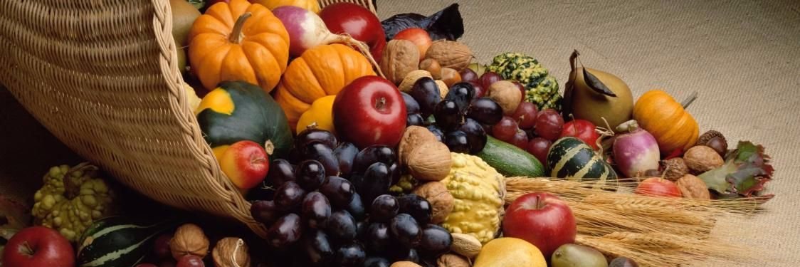 mutluvegan's profile banner image