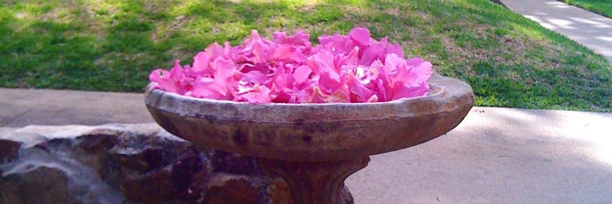 mlea_smu's profile banner image