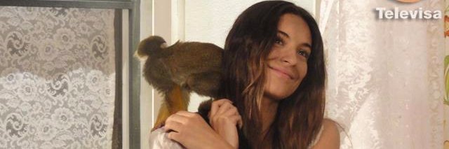 MariaAle_ok's profile banner image