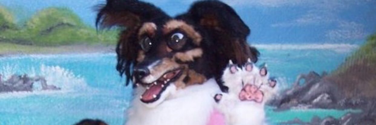 Talitha_Bell's profile banner image