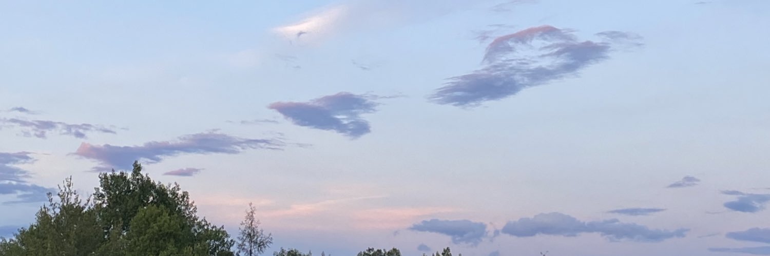 laina_bayles's profile banner image