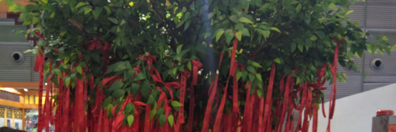kunalfundraiser's profile banner image