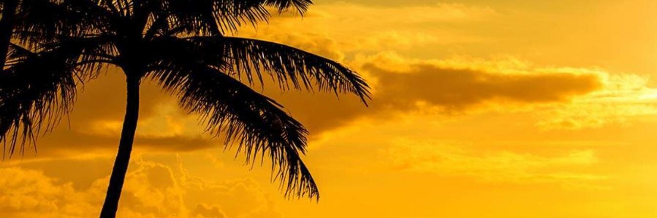 carolinabloj's profile banner image