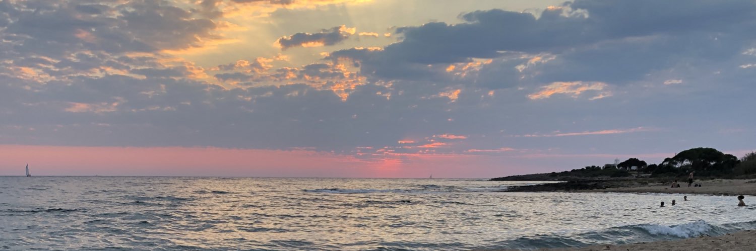 digisometimes's profile banner image