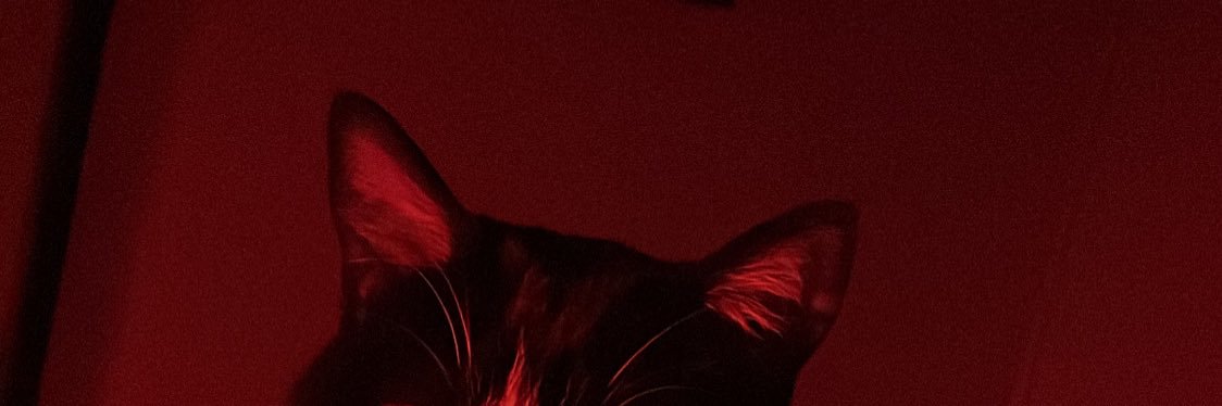 dieguarito's profile banner image
