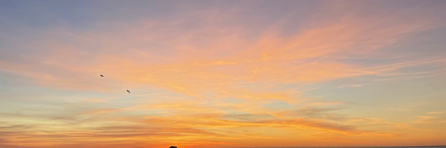 bri_xb's profile banner image