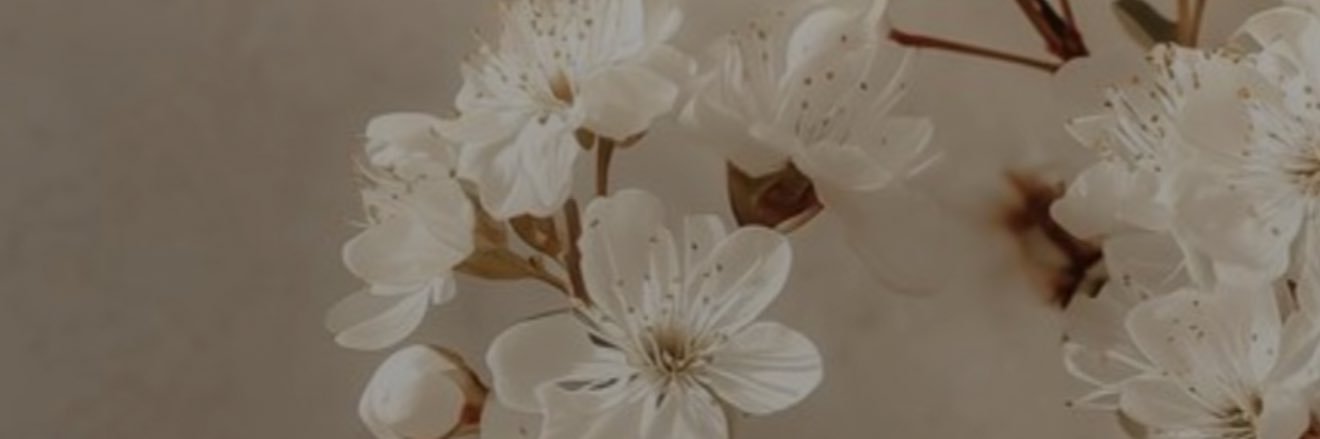 nmtr09's profile banner image