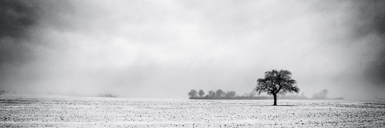 mdrayson's profile banner image