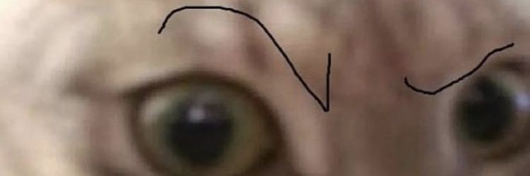 ddddynamite's profile banner image