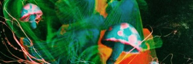 santamantra's profile banner image