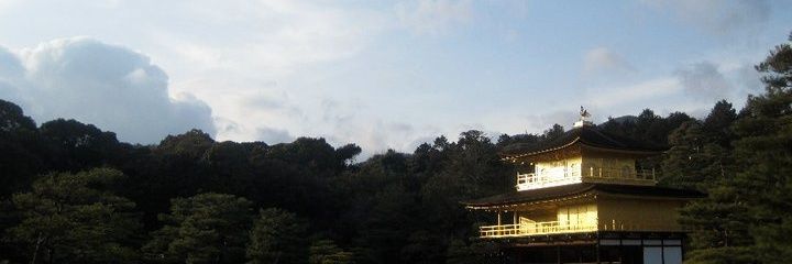 myruzu's profile banner image