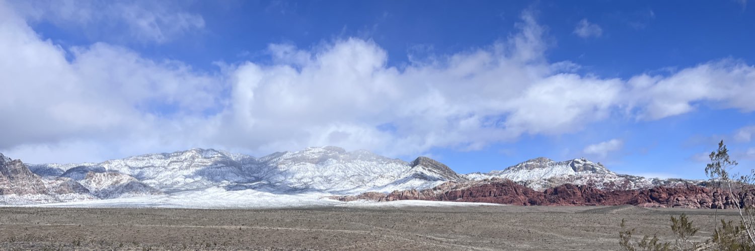 Leather Professor banner