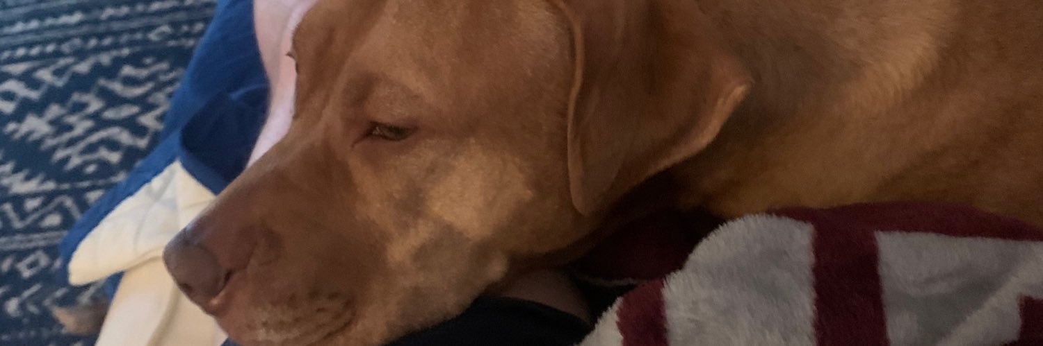 sam_owens71's profile banner image