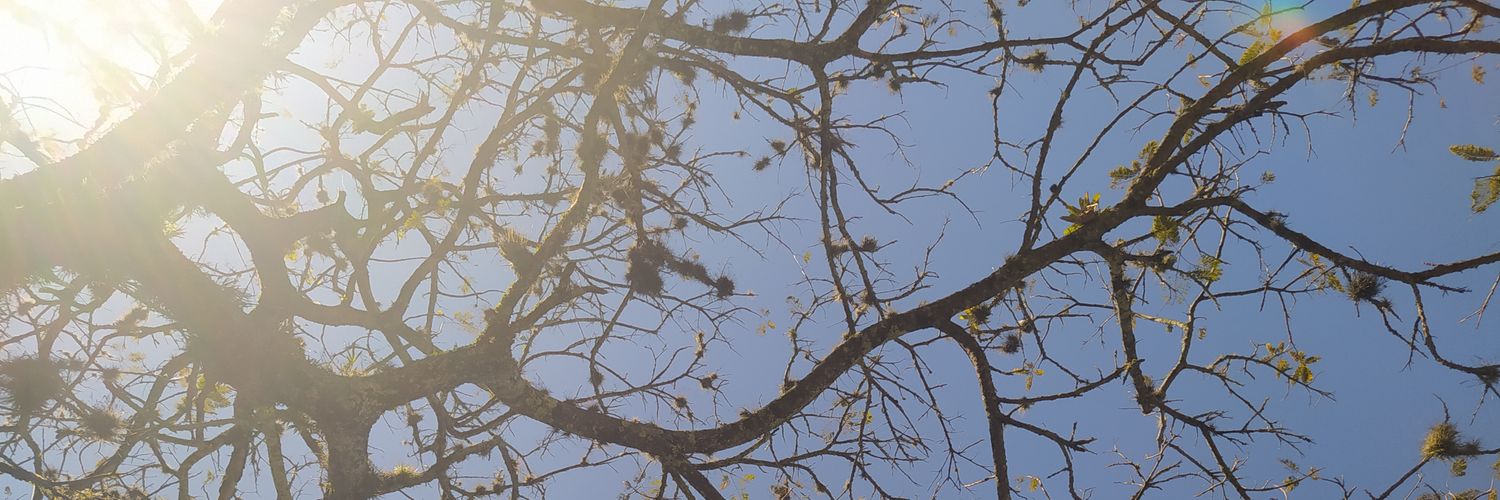 jaovem's profile banner image