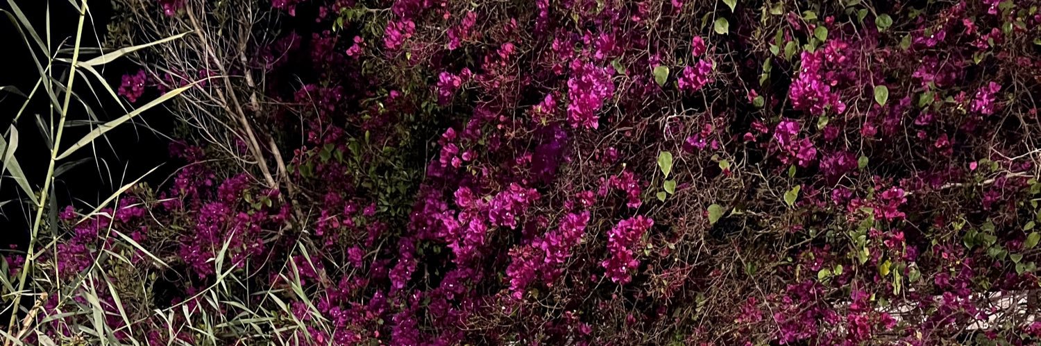 renaalmohammed's profile banner image