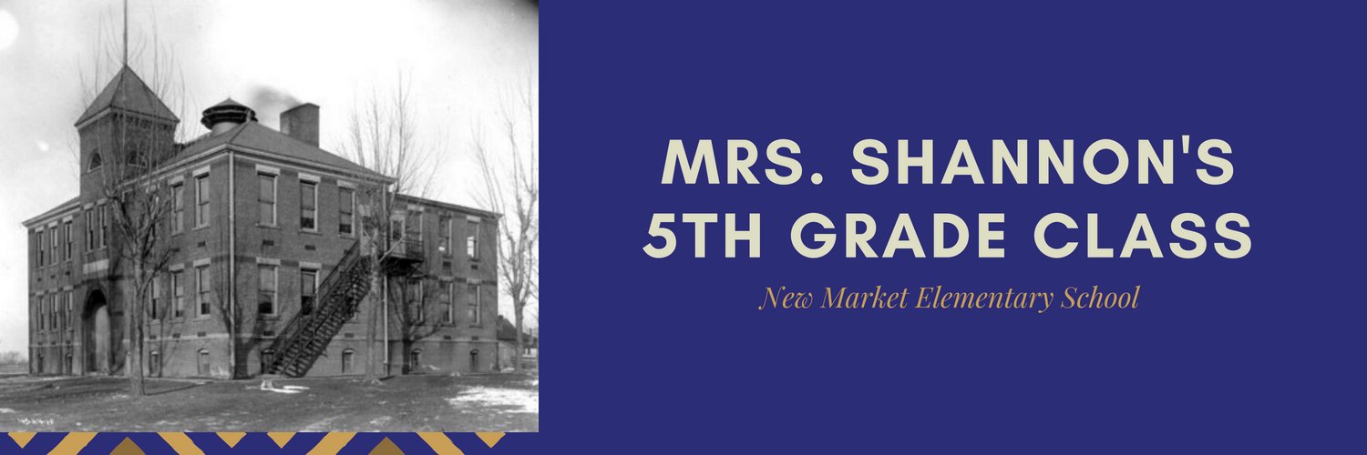 MrsShannonNMES's profile banner image