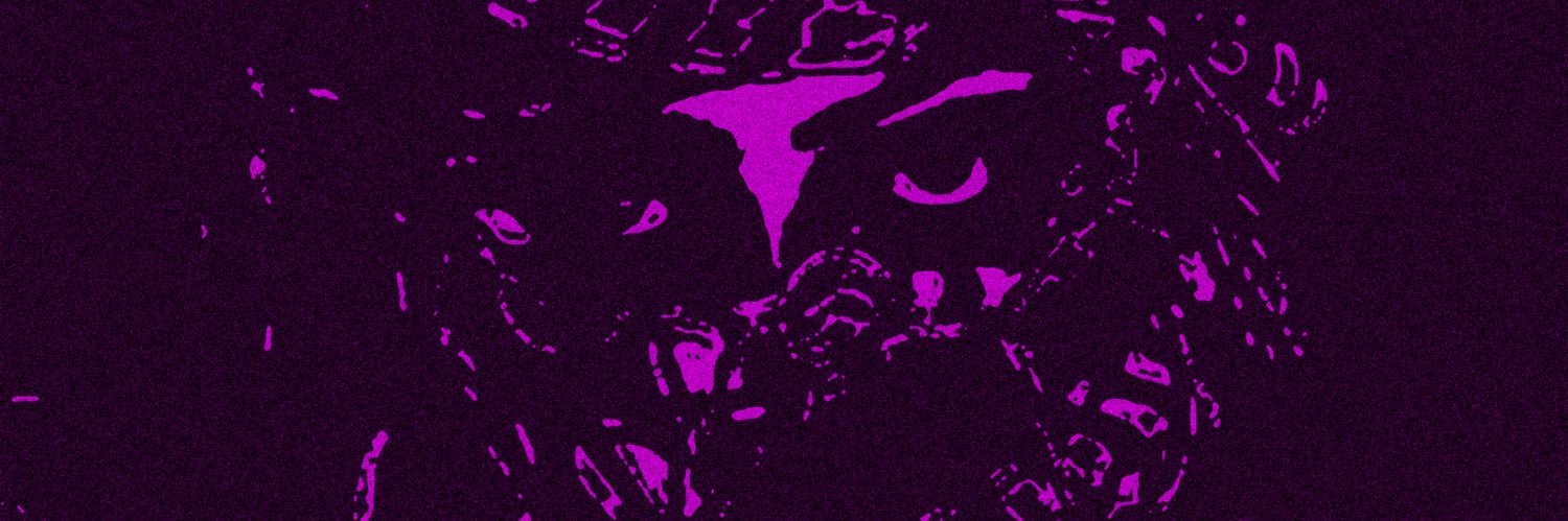 shane2n's profile banner image