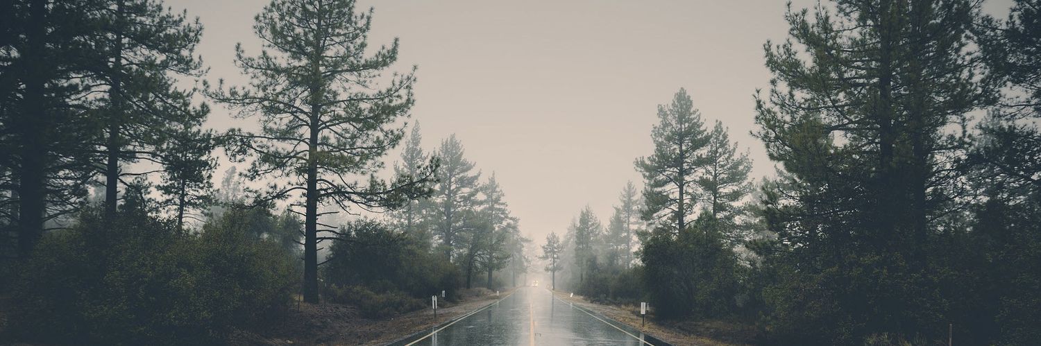 julius_rain's profile banner image