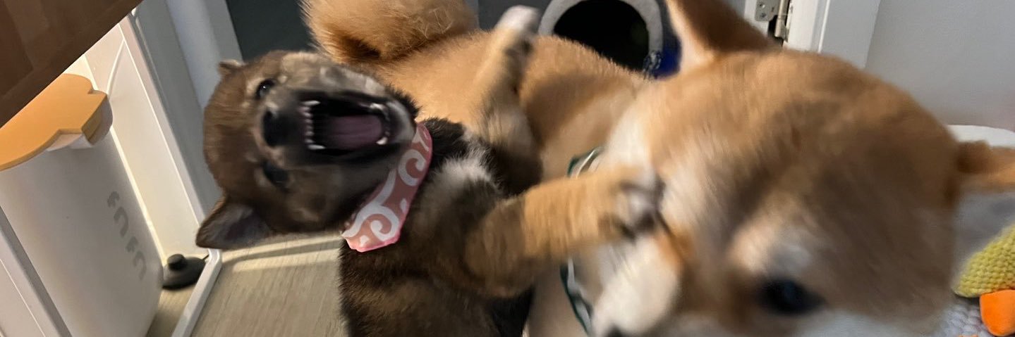 yooj smoothie! banner