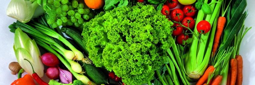 mealmatcher's profile banner image
