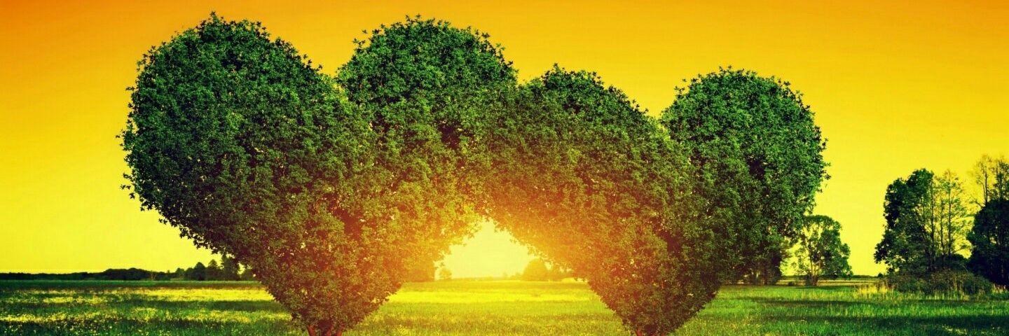 jakeck1997's profile banner image