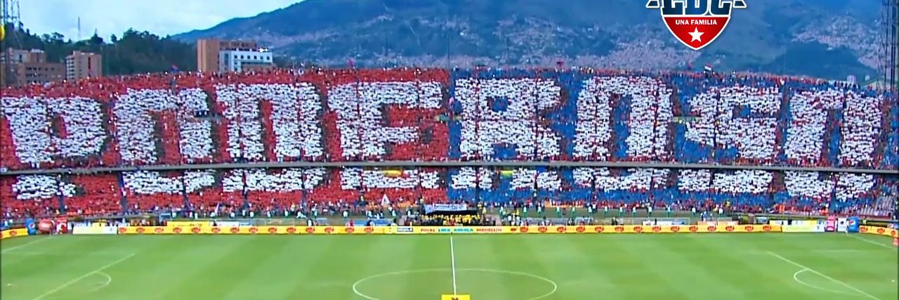 David González banner