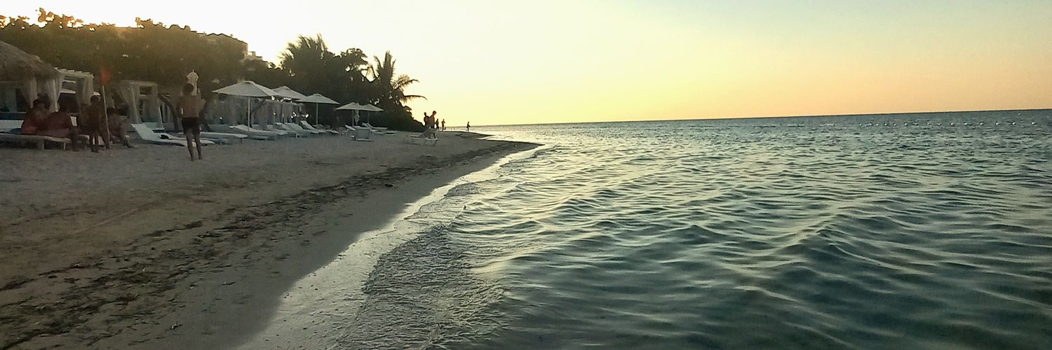 Patricia Valdes banner