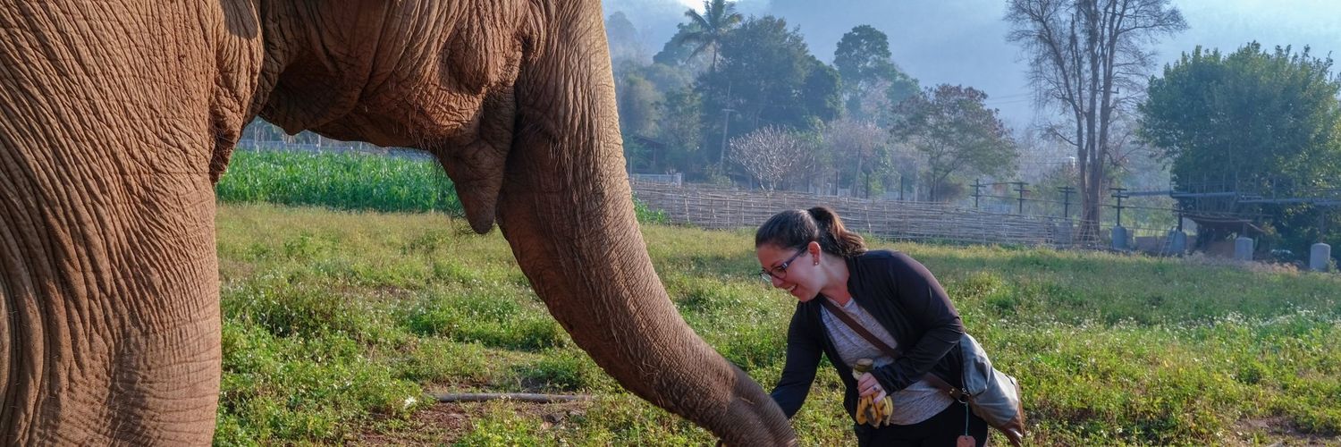 Courtney Paull banner