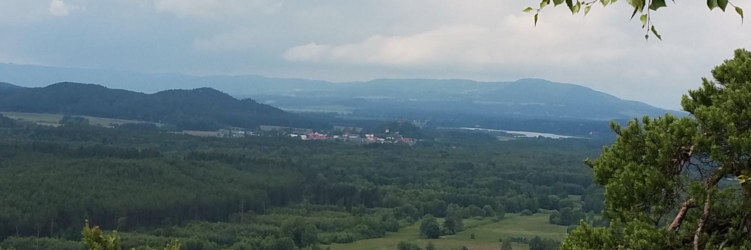 DylanLinthout's profile banner image