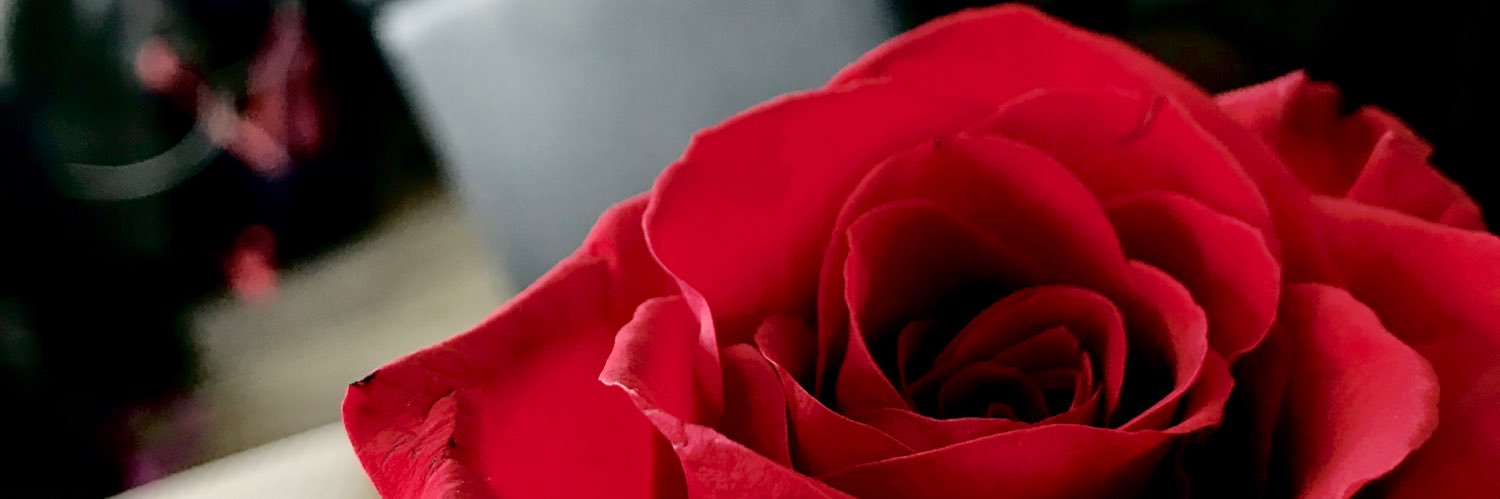 NinjamesStudios's profile banner image