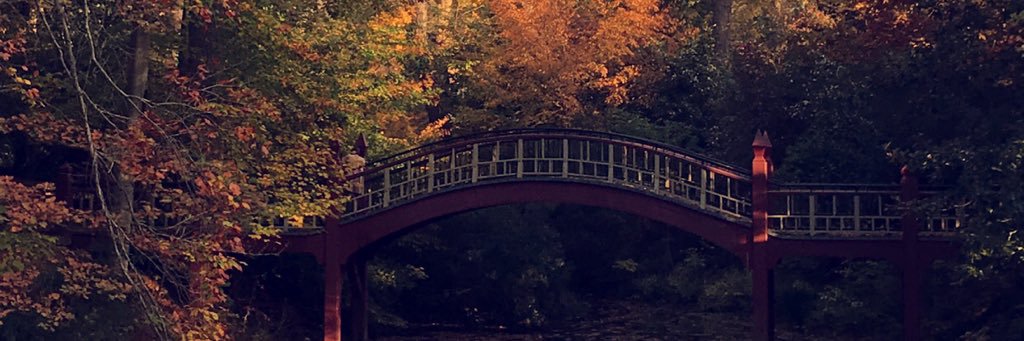 wags_b25's profile banner image