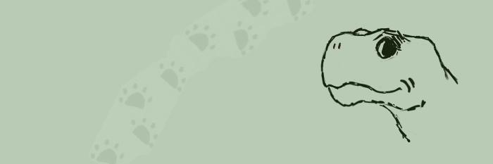 ShellSister's profile banner image