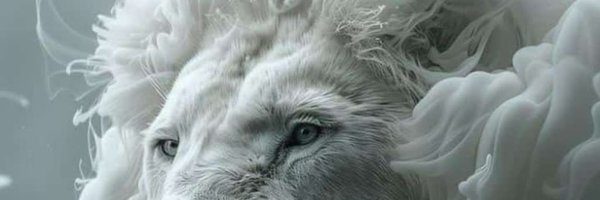 ShishNickie Profile Banner