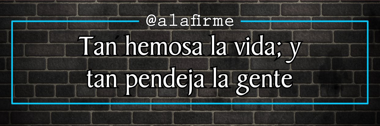 alafirme's profile banner image