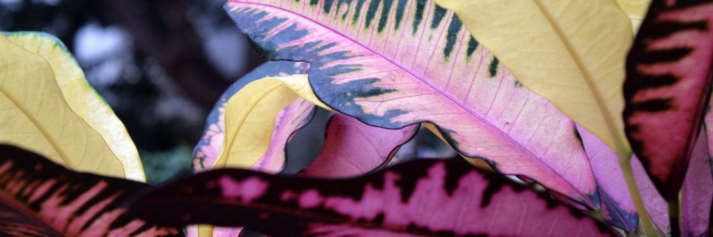 Anooprkp's profile banner image