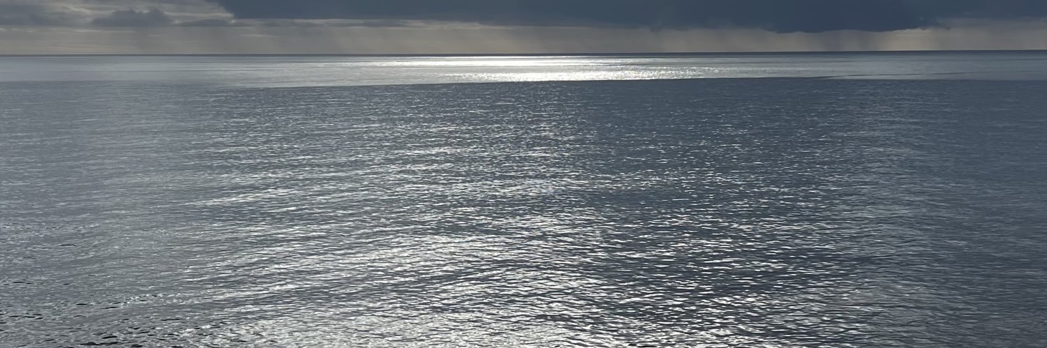 SUDeFUTURI's profile banner image