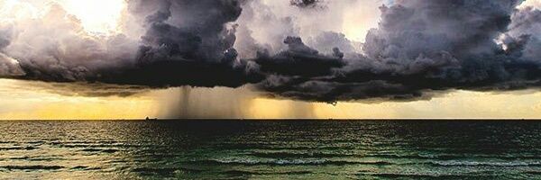 asanzala's profile banner image