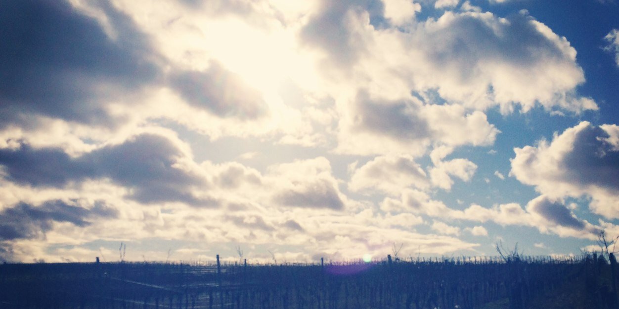 mzn1's profile banner image